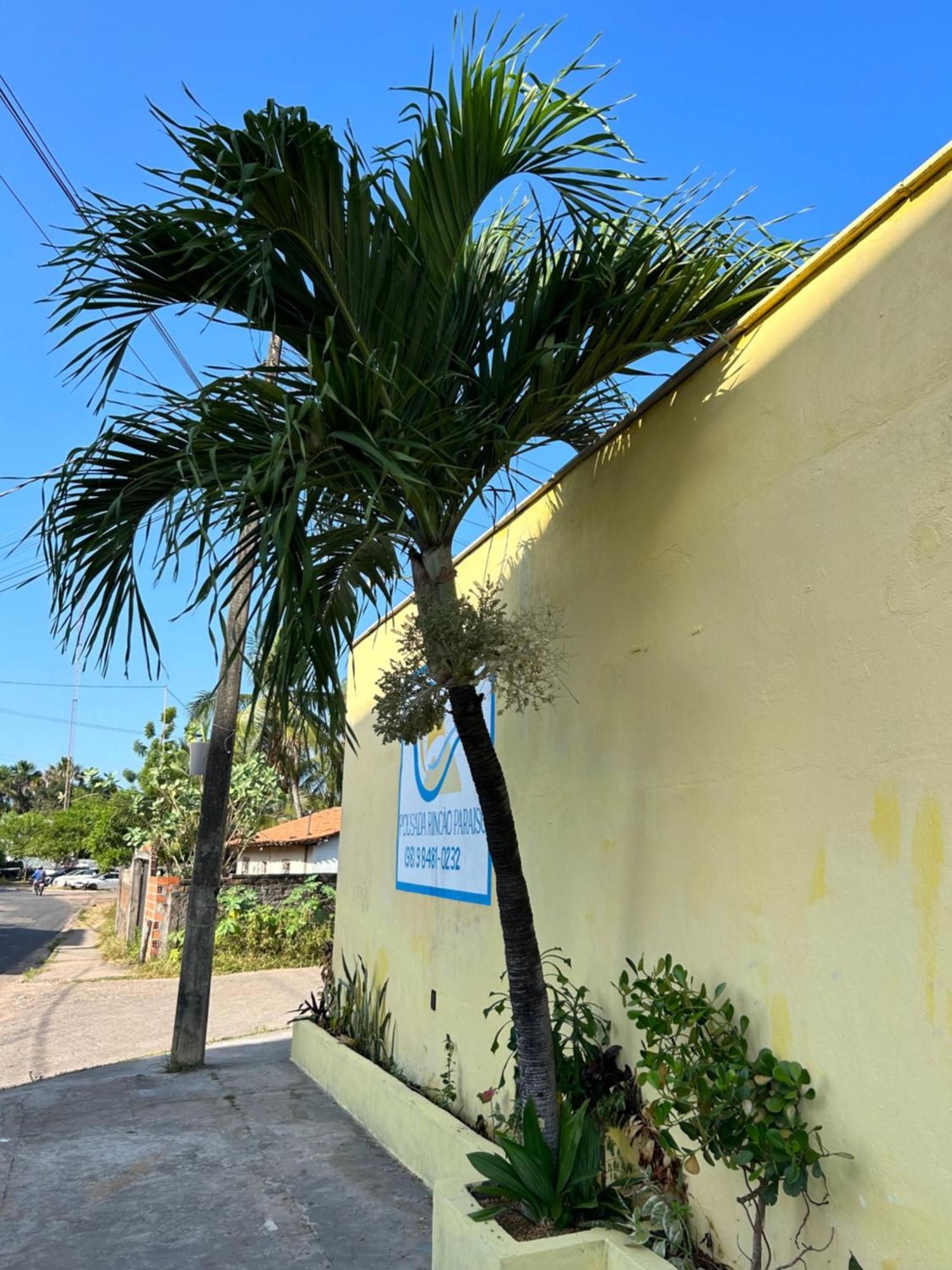 Pousada Rincao Paraiso Barreirinhas Exterior foto